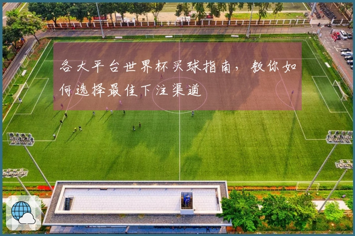 各大平台世界杯买球指南，教你如何选择最佳下注渠道