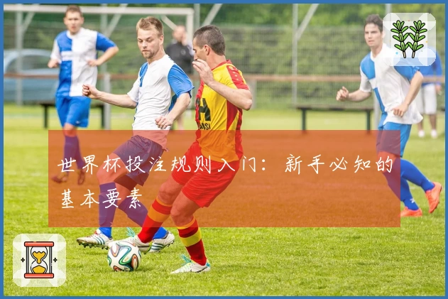 世界杯投注规则入门：新手必知的基本要素