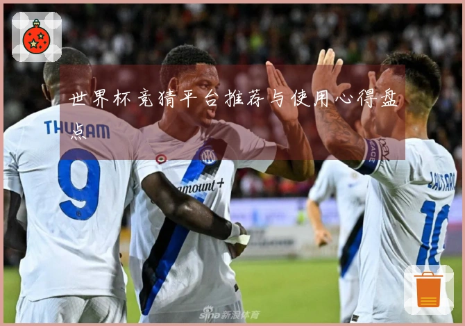 世界杯竞猜平台推荐与使用心得盘点