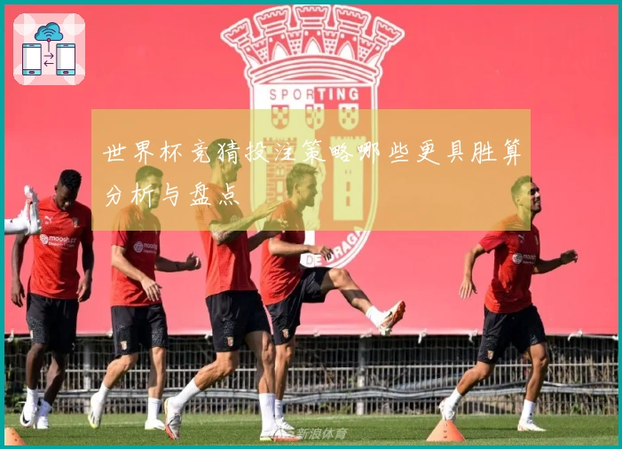 世界杯竞猜投注策略哪些更具胜算分析与盘点