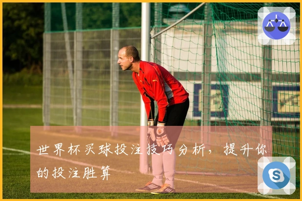 世界杯买球投注技巧分析，提升你的投注胜算