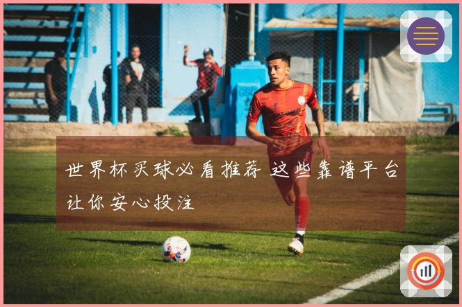 世界杯买球必看推荐 这些靠谱平台让你安心投注