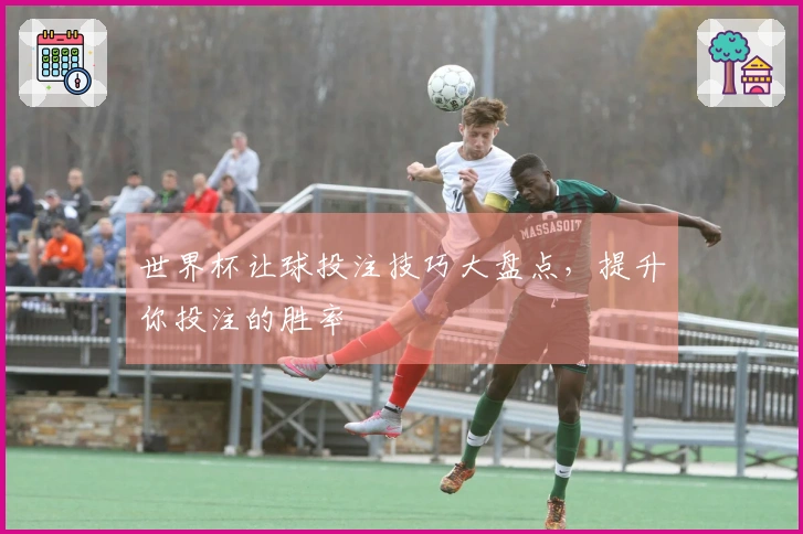 世界杯让球投注技巧大盘点，提升你投注的胜率
