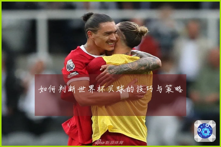 如何判断世界杯买球的技巧与策略