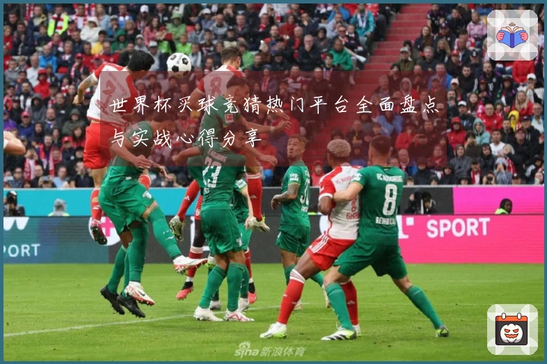 世界杯买球竞猜热门平台全面盘点与实战心得分享