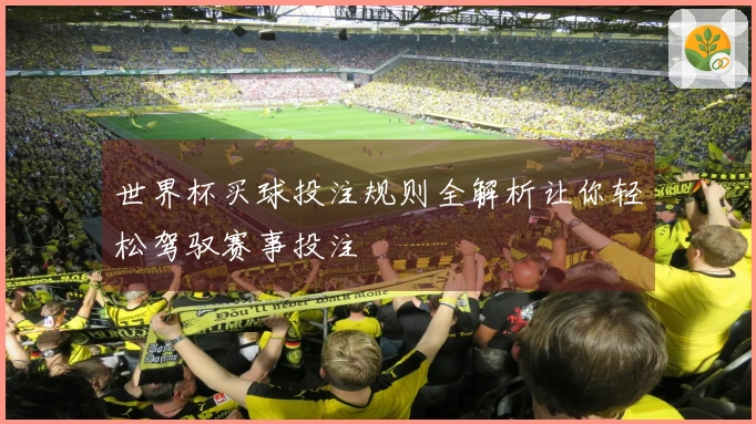 世界杯买球投注规则全解析让你轻松驾驭赛事投注
