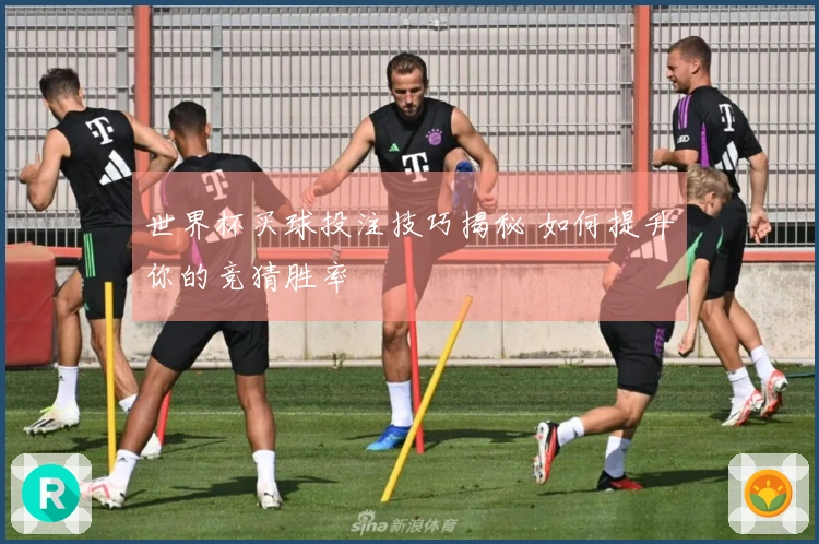 世界杯买球投注技巧揭秘 如何提升你的竞猜胜率