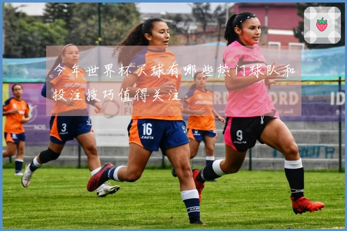 今年世界杯买球有哪些热门球队和投注技巧值得关注