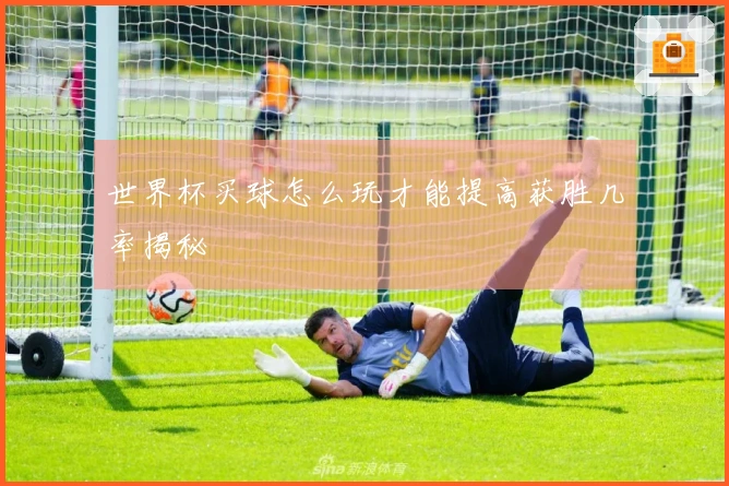 世界杯买球怎么玩才能提高获胜几率揭秘