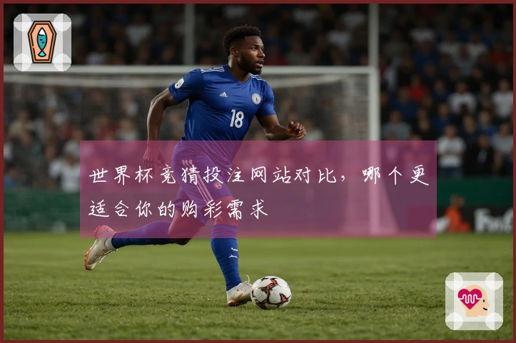 世界杯竞猜投注网站对比，哪个更适合你的购彩需求