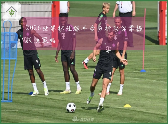 2026世界杯让球平台分析助你掌握投注策略