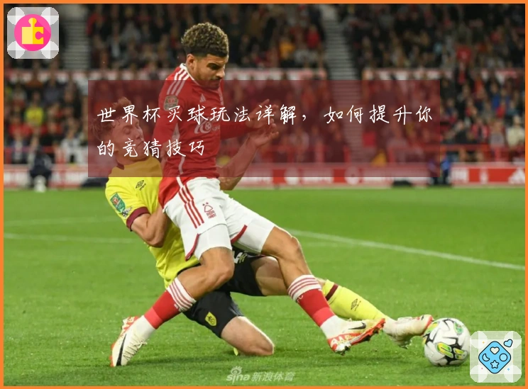 世界杯买球玩法详解，如何提升你的竞猜技巧
