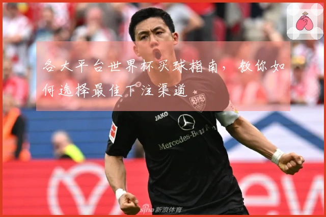 各大平台世界杯买球指南，教你如何选择最佳下注渠道