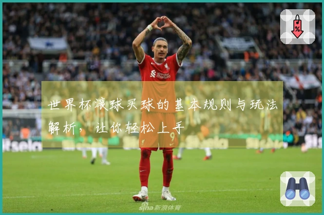 世界杯滚球买球的基本规则与玩法解析，让你轻松上手