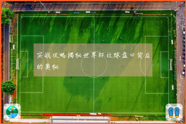 实战攻略揭秘世界杯让球盘口背后的奥秘