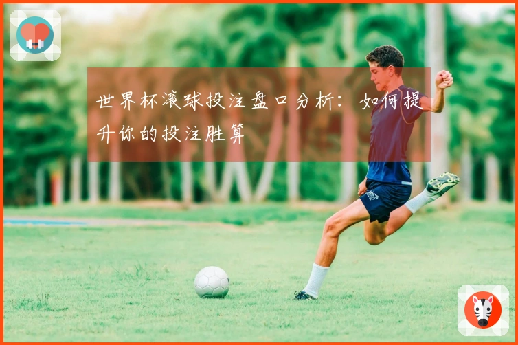 世界杯滚球投注盘口分析：如何提升你的投注胜算