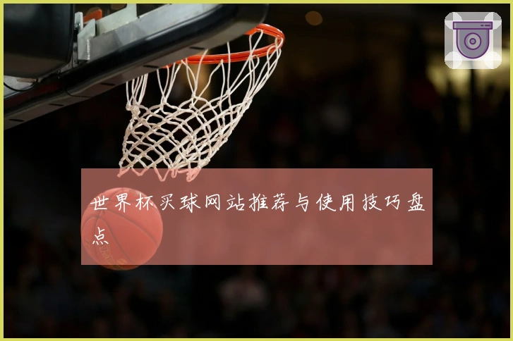 世界杯买球网站推荐与使用技巧盘点